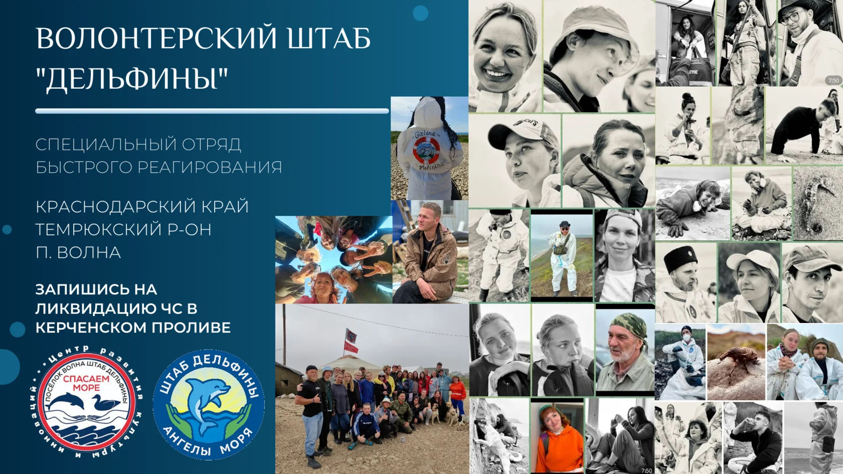 Штаб Дельфины - спасение моря