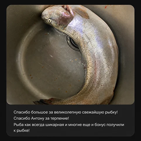 Отзыв покупателя 3