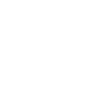 ПГНИУ