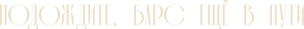 Загрузка