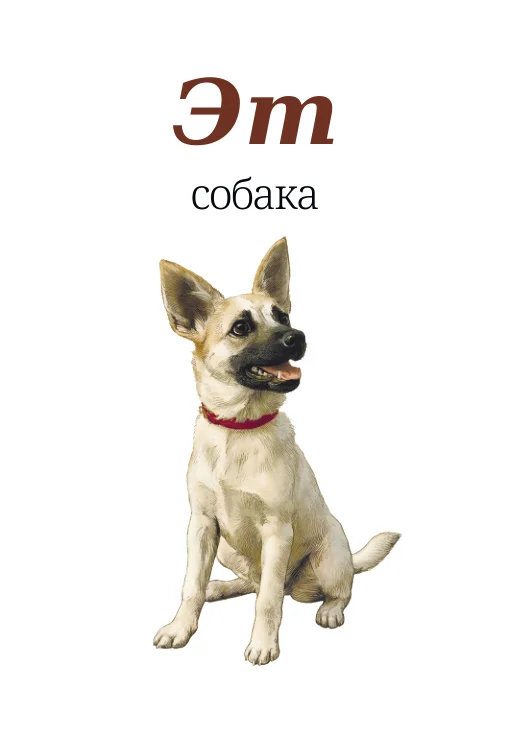 Карточка «Кояш — солнце»